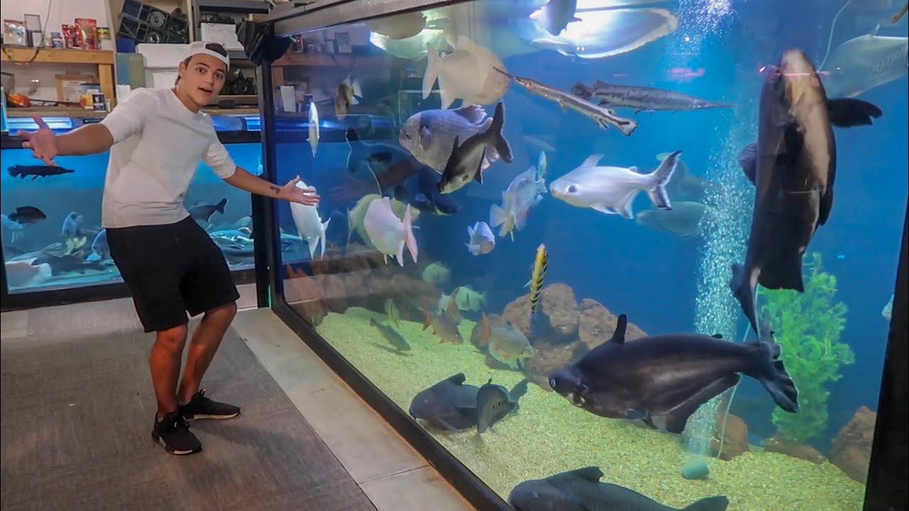 WORLDS LARGEST INDOOR HOME AQUARIUM 