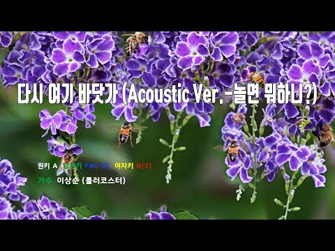 [은성 반주기] 다시여기바닷가(Acoustic Ver.-놀면뭐하니?) - 이상순(롤러코스터)