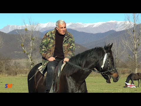 ცხენები და ჩემი ცხოვრება (III ნაწილი)