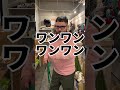 【犬のしつけ】吠えグセの治し方はこれだ