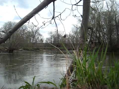 4'33 by John Cage. Performed at Fox Ridge State Park, Coles County, Illinois, USA; morning, Saturday, April 18, 2009. In honor of the birthday of Giacomo Carissimi (1605).