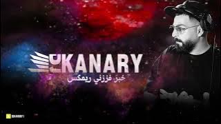 خبر فززني ريمكس ديجي كناري