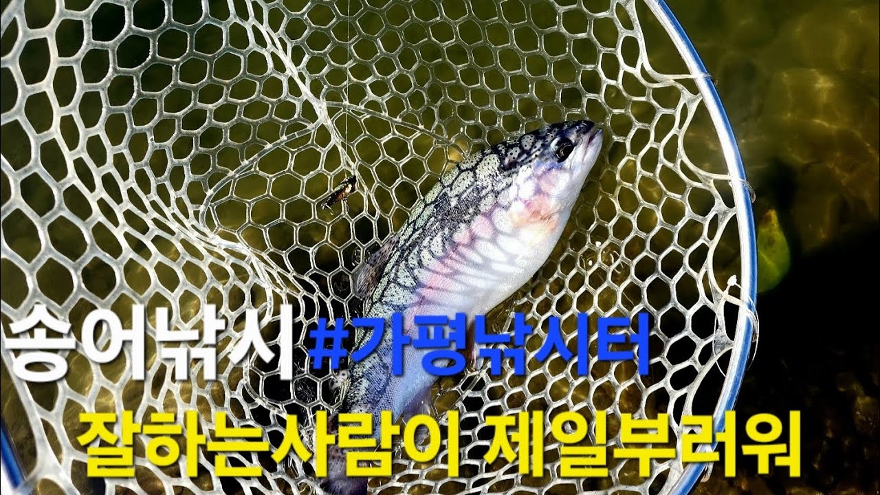 송어 스푼낚시는 어렵지만 중독성이 강해 EP.50