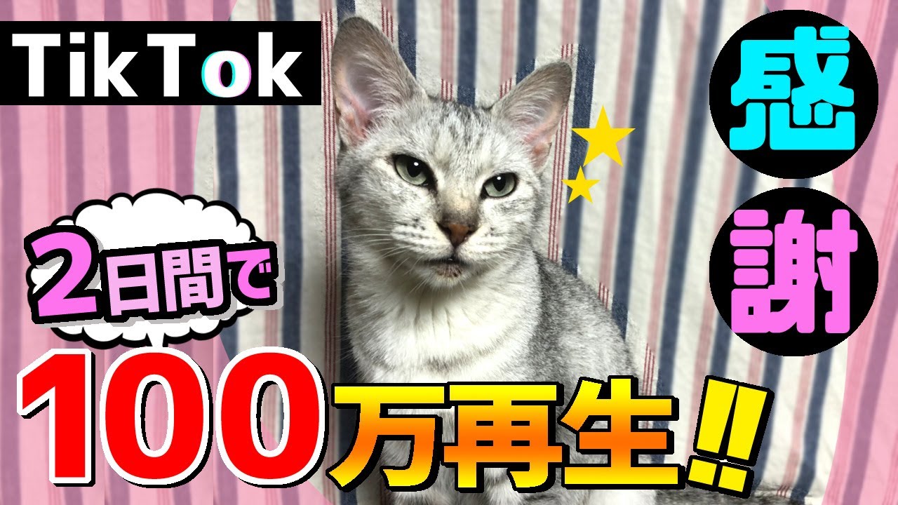 の 片思い tiktok いちご Tik Tokで800万回再生された「グミいちご飴」が新商品として登場！フレッシュないちごをグミでコーティングした”新感覚いちご飴！？”｜グッドアイディアカンパニー株式会社のプレスリリース