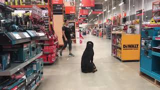 Magnum | Rottweiler | Home Depot Dog Training