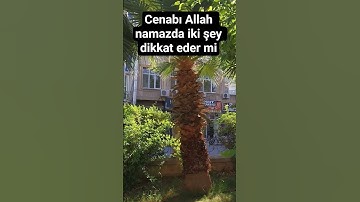 Cenabı Allah namazda iki şey dikkat eder mi#ytdayibenionecikarnolur #youtube #keşfet #dua #allah