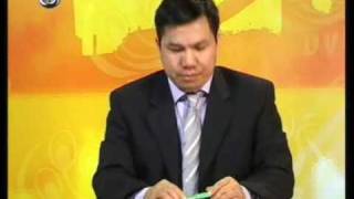 dvb tv 2010jan6-7 B.mpg