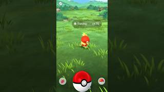 Shiny bird-pokemon hunt day 1 ✨