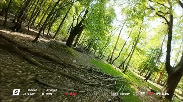 FPV drone DJI AVATA 2 20mph flying between trees - crash+continue, crash+continue, story of my life