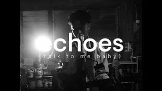 ECHOES (Talk to me Baby) The Poles Cover