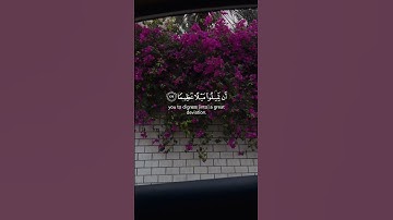 (والله يريد أن يتوب عليكم) القارئ محمد اللحيدان 🤍 #اكسبلور #لايك #راحة_نفسية #رعد_الكردي #ترند