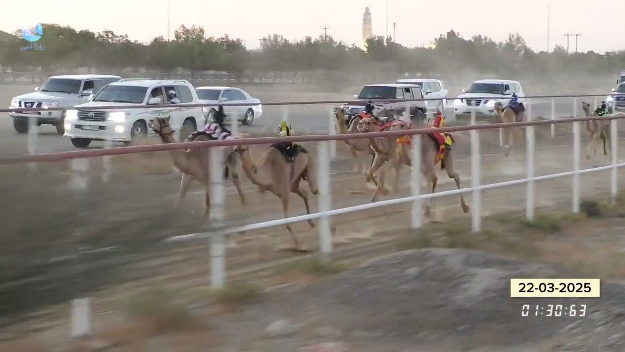 فيديو ميدان السد22.03.2025 يوم السبت شارة صندوق السد