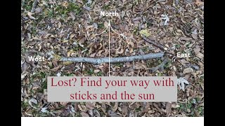How to Build a Solar Compass DIY Bushcraft Survival Navigation #shortsvideo #shorts #bushcraft