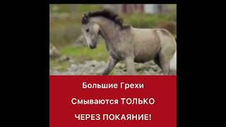 Большие грехи смываются только через покаяние