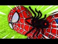 Spider creeping up pretend play│거미가 나타났어요! 슈퍼히어로 친구들아 도와줘!│럭키강이 LuckyKangi