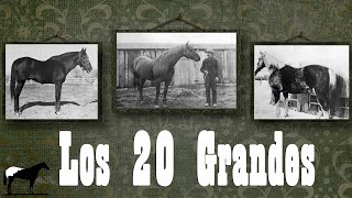 Líneas Fundación De la Cuarto De Milla (Quarter Horse) ¿Qué Son? &quot;Padres De La Raza&quot; 🐴-Del Cerro Soy