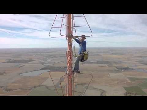 Video: Espino De Antenas Grandes