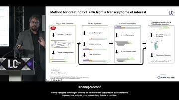 A survey of human RNA modifications by direct RNA nanopore sequencing, Logan Mulroney