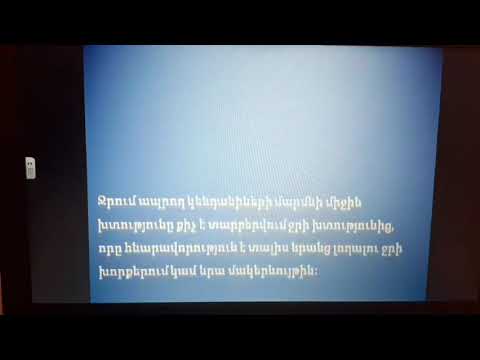 Video: Կենդանիների և մարդու առողջության օգուտների միջև կապը