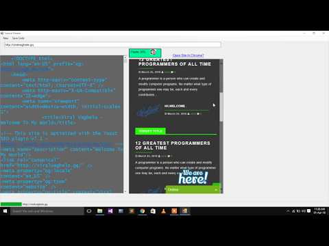 Site Source Code Viewer Application ||