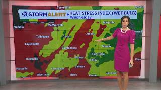 Hannah Skyes Wednesday morning weather @Local3videos