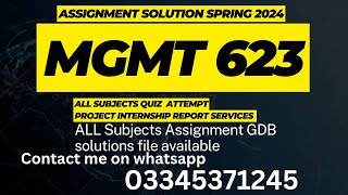 mgmt623 assignment solution Spring 2024
