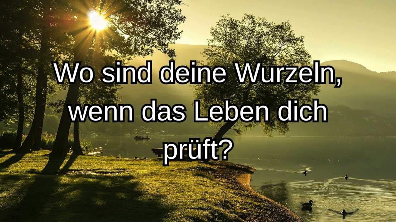 Verwurzelt leben: Wie du geistlich stark bleibst - Psalm 1,3–4 - BibelMoment