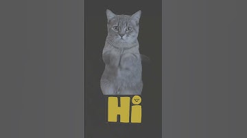 Brain test challenge 🤣🤣 riddles #shorts #ytshorts #braintest #challenge