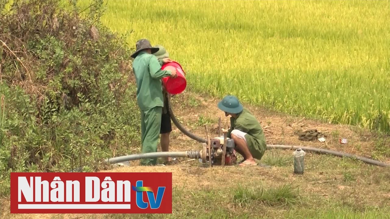 Nỗ lực chống hạn cứu cây trồng - youtube