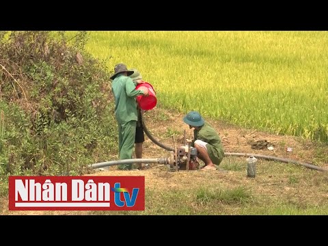 Video Nỗ lực chống hạn cứu cây trồng - youtube