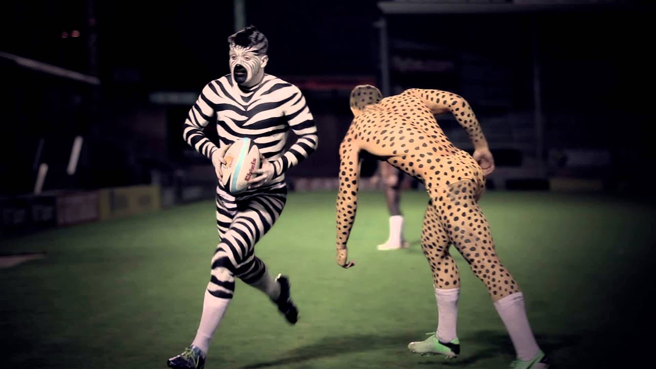 Follow your animal instincts to Paignton Zoo