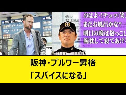 阪神・ブルワー昇格「スパイスになる」【バウアー音声、バウアーボイス】【なんJ、なんG】【5ch、2ch】【プロ野球、岡田監督、阪神タイガース、優勝、岡田彰布、どんでん、おーん、和田監督、和田豊】