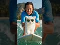 Surfing with cat on sea Target 1 crore subscriber's and Likes viral the video and support 🙏