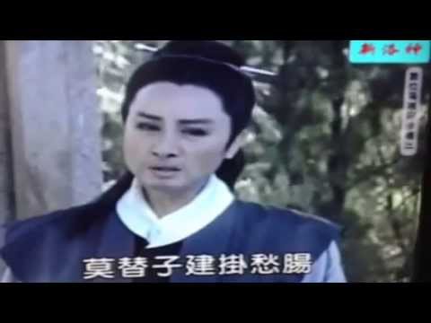 杨丽花 。冯宝宝 。歌仔戏 。Yang Li Hua & Fung Bo Bo (Hong Kong Star) Taiwan Hokkien ...