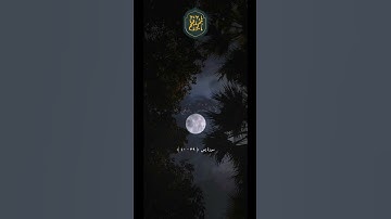 ❤️ تلاوة جميلة بصوت الشيخ ماهر المعيقلي #ماهر المعيقلي #97