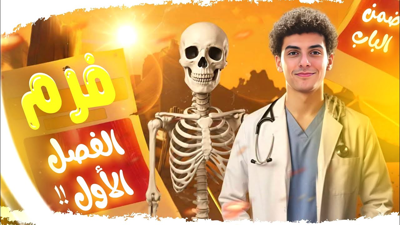 احسن خمس ساعات احياء في حياتك ( دعامه + حركه )🤯