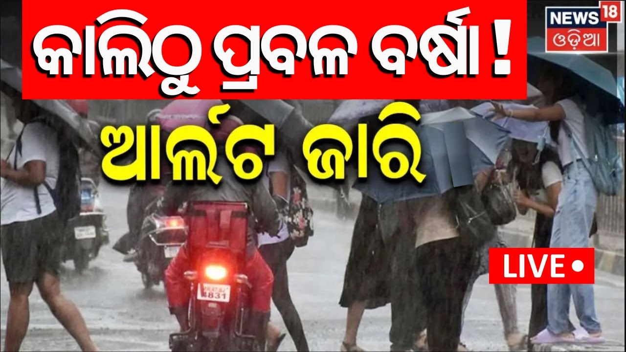 Odisha Rain Live: କାଲିଠୁ କାଚିବ ବର୍ଷା ! Heavy Rainfall Alert Issued For Next 5 Days