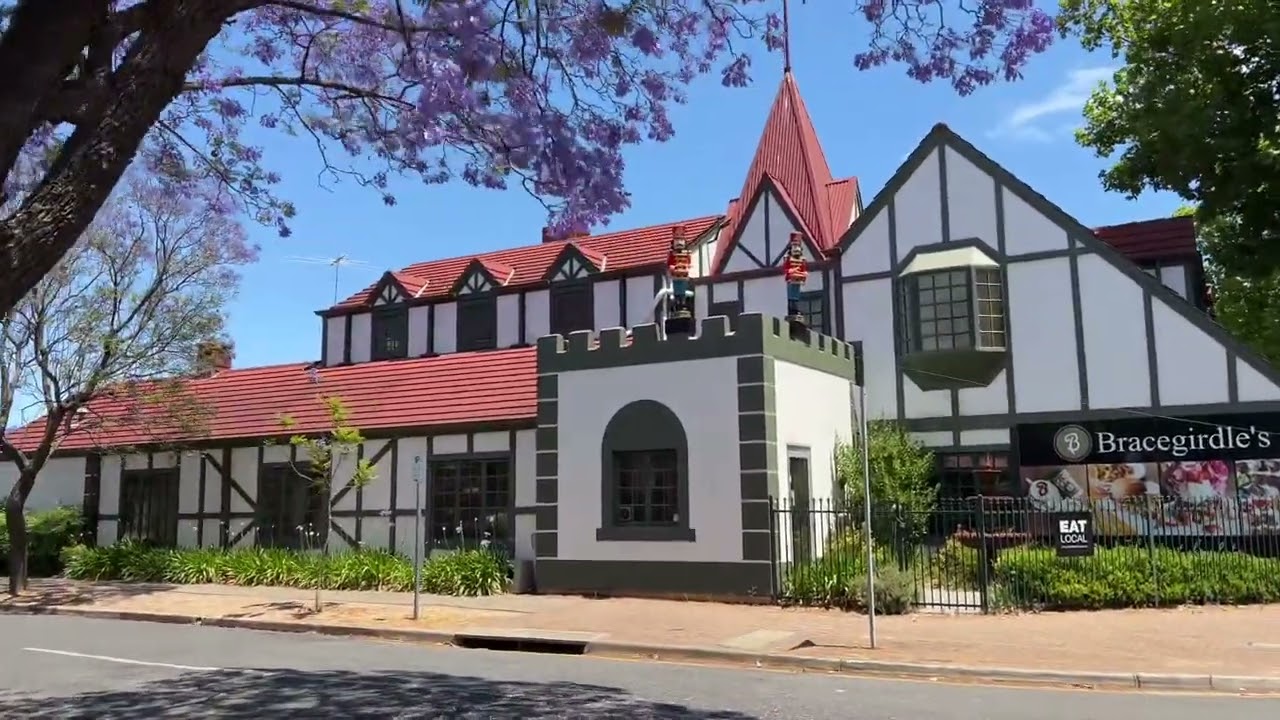 Ambient Walk On Streets Of Adelaide Suburbs In Spring | Jacaranda In Bloom In Adelaide Suburbs