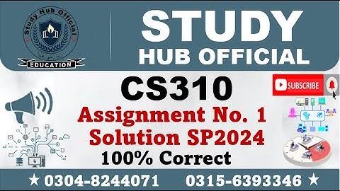 CS310 Assignment 1 Solution Spring 2024, CS310 Assignment 1 solution 2024, CS310 assig 1 solution