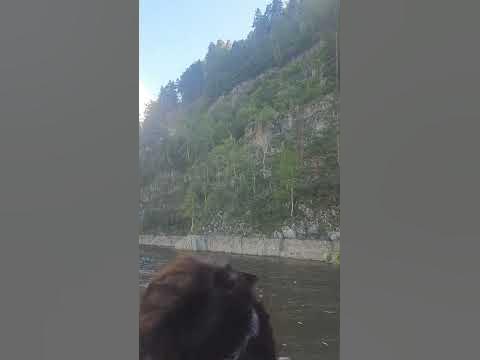 такси юмагузино кугарчинский