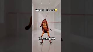 Dancing cockroach, try not to laugh part 4🪳 #foryou #funny #memes #trending #lifeisbutadream