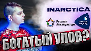 ❄️Анализ Inarctica. 🎀Стоит ли покупать их акции в 2022 году? 🧊На что можно рассчитывать?🍦