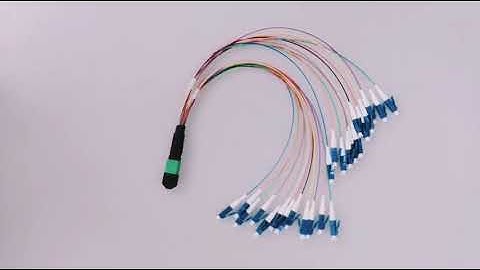 MPO-12F LC Fiber Optic Patch Cable