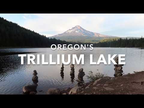 Video: Er trillium ulovlig å plukke i Oregon?