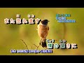 月夜舟 瀨川瑛子 字義版