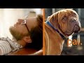Signs Your Pet Is Your Therapist // Presented By BuzzFeed &amp; Pets Add Life