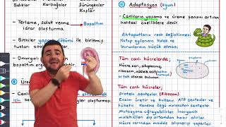 1-Canlıların Ortak Özellikleri Konu Anlatımı 9.Sınıf Biyoloji Tyt Biyoloji Konu Anlatımı Yks 2023