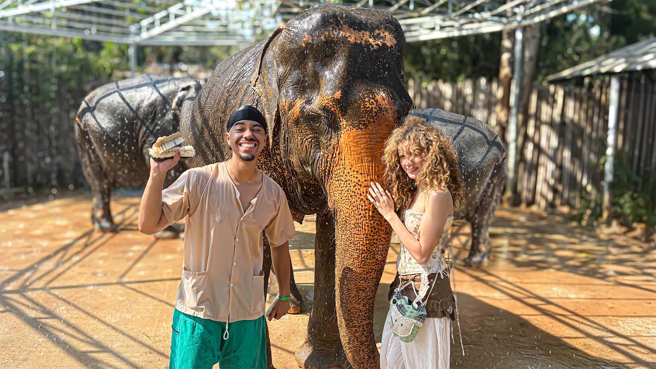 We Visited Thailand's Biggest Elephant Sanctuary