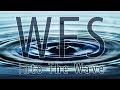 Wfs  into the wave  teaser