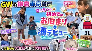 【GW鎌倉東京旅】ポメチワなっちゃん海旅行デビュー!＆そなの大親友いとこ初公開!